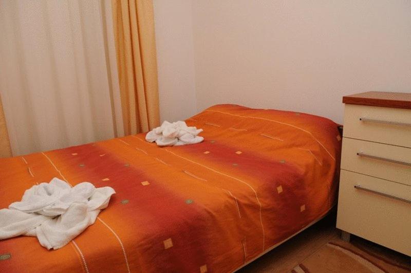 Northern Star Bansko Phòng bức ảnh